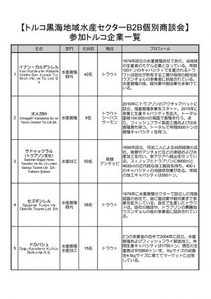 トルコ黒海地域B2B商談会 トルコ参加企業